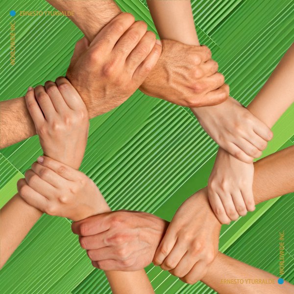 Talleres de Cuerdas Bajas | Team Building Empresarial para el desarrollo de equipos de trabajo